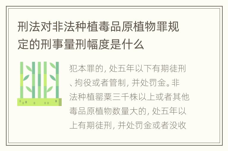 刑法对非法种植毒品原植物罪规定的刑事量刑幅度是什么