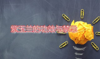 紫玉兰的功效与禁忌 紫玉兰有什么药用价值