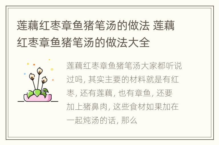 莲藕红枣章鱼猪笔汤的做法 莲藕红枣章鱼猪笔汤的做法大全