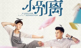 小别离大结局是什么 小别离介绍