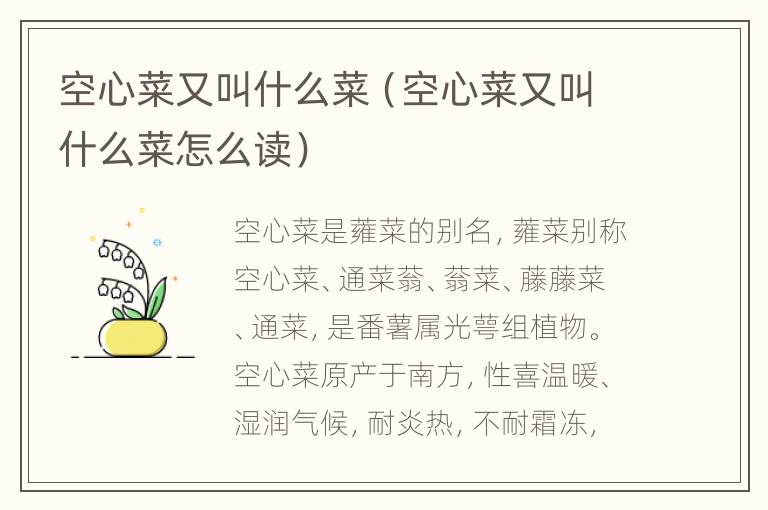 空心菜又叫什么菜（空心菜又叫什么菜怎么读）