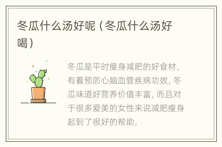 冬瓜什么汤好呢（冬瓜什么汤好喝）