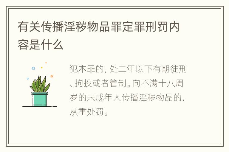 有关传播淫秽物品罪定罪刑罚内容是什么
