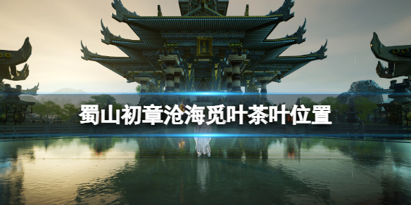 蜀山初章沧海觅叶茶叶位置 蜀山初章沧海觅叶茶叶在哪