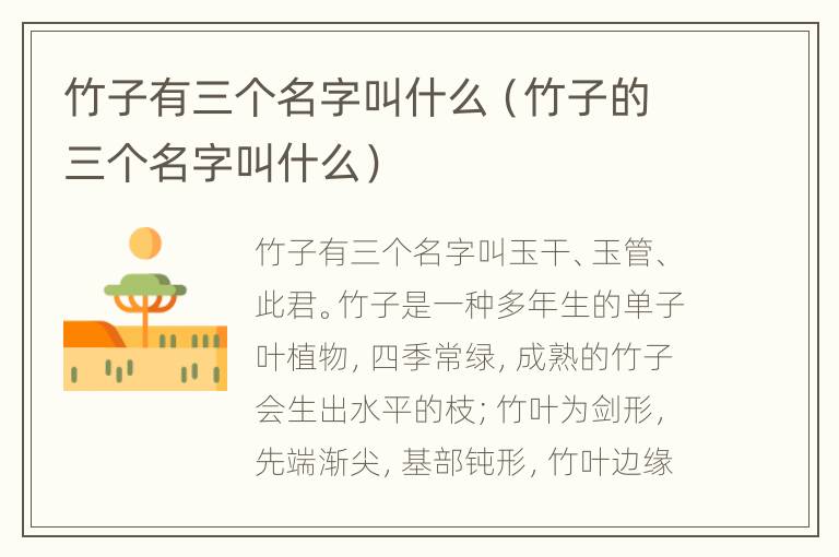 竹子有三个名字叫什么（竹子的三个名字叫什么）