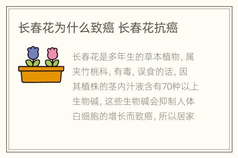 长春花为什么致癌 长春花抗癌