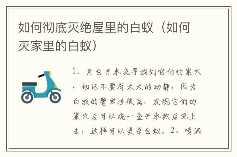 如何彻底灭绝屋里的白蚁（如何灭家里的白蚁）