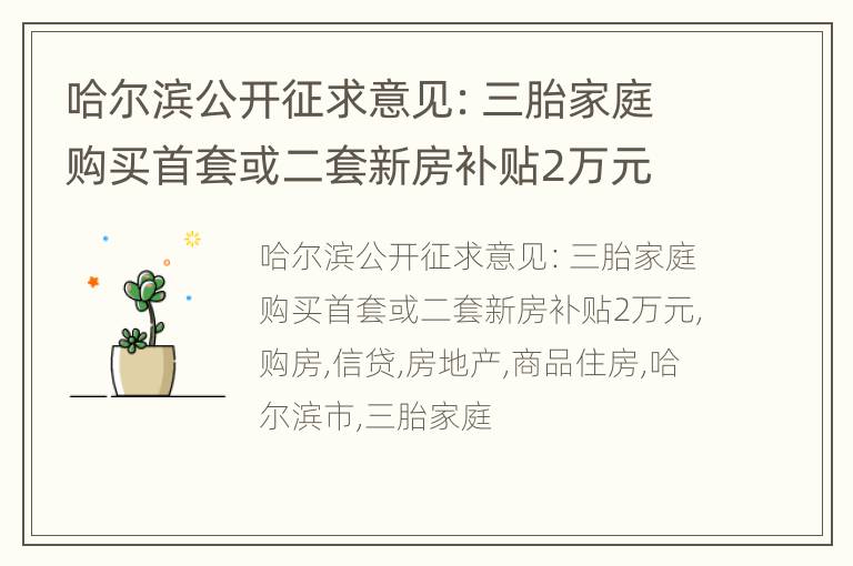 哈尔滨公开征求意见：三胎家庭购买首套或二套新房补贴2万元