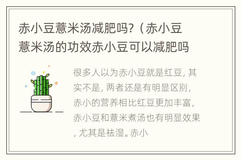 赤小豆薏米汤减肥吗？（赤小豆薏米汤的功效赤小豆可以减肥吗）