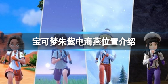 宝可梦朱紫电海燕怎么抓 宝可梦朱紫电海燕位置介绍