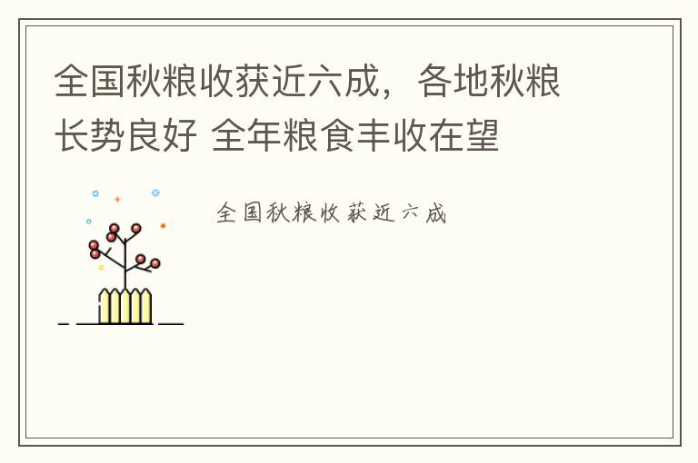 全国秋粮收获近六成，各地秋粮长势良好 全年粮食丰收在望