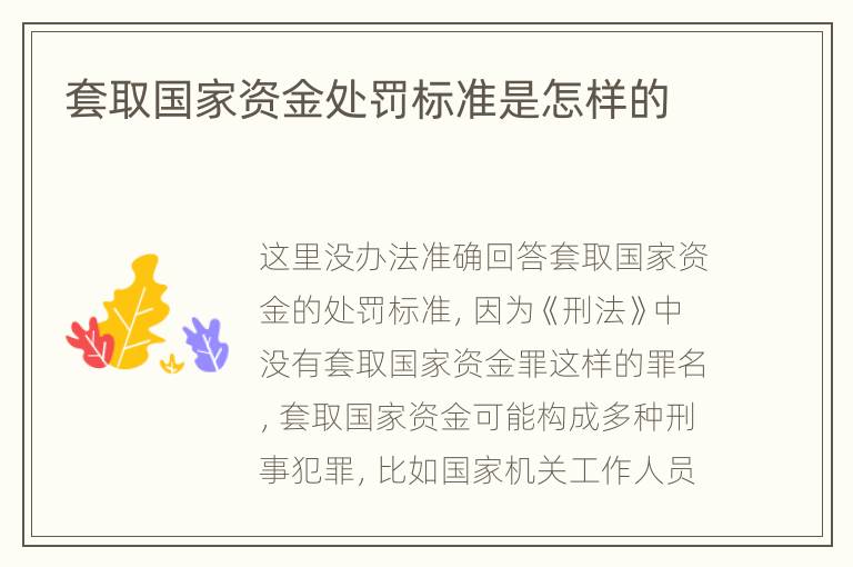 套取国家资金处罚标准是怎样的