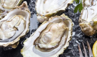 生蚝不能跟什么同食 哪些食物不能和生蚝一起吃