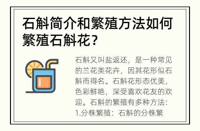 石斛简介和繁殖方法 如何繁殖石斛花？