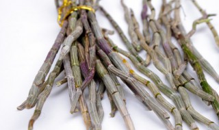 石斛种植方法家庭施肥（石斛怎样栽培施什么肥）