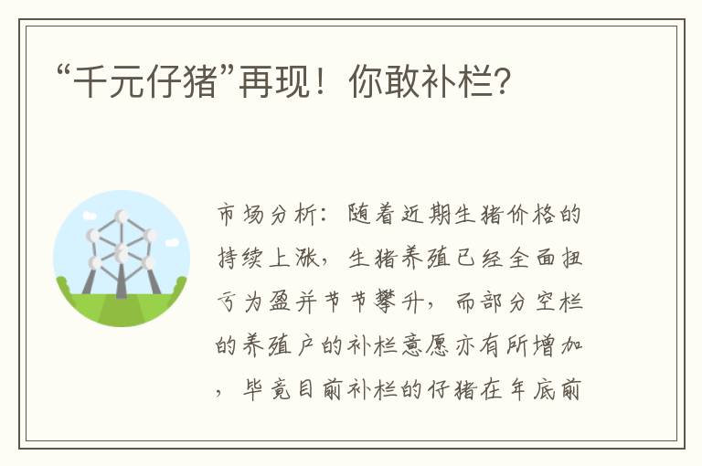 “千元仔猪”再现！你敢补栏？