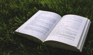 热岛效应是什么意思 热岛效应解释