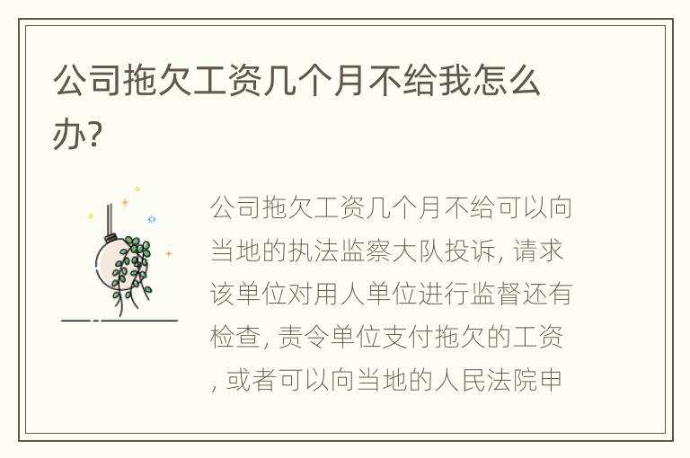 公司拖欠工资几个月不给我怎么办？