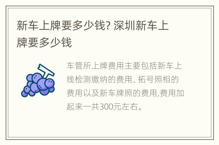 新车上牌要多少钱? 深圳新车上牌要多少钱