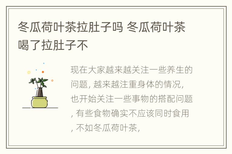 冬瓜荷叶茶拉肚子吗 冬瓜荷叶茶喝了拉肚子不