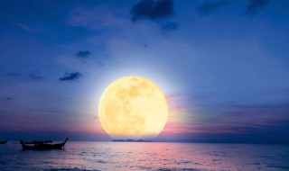 海口旅游攻略必去景点推荐（海口旅游攻略必去景点推荐 小红书）