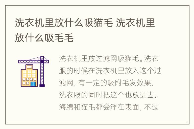 洗衣机里放什么吸猫毛 洗衣机里放什么吸毛毛