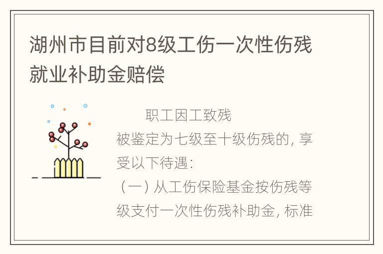 湖州市目前对8级工伤一次性伤残就业补助金赔偿