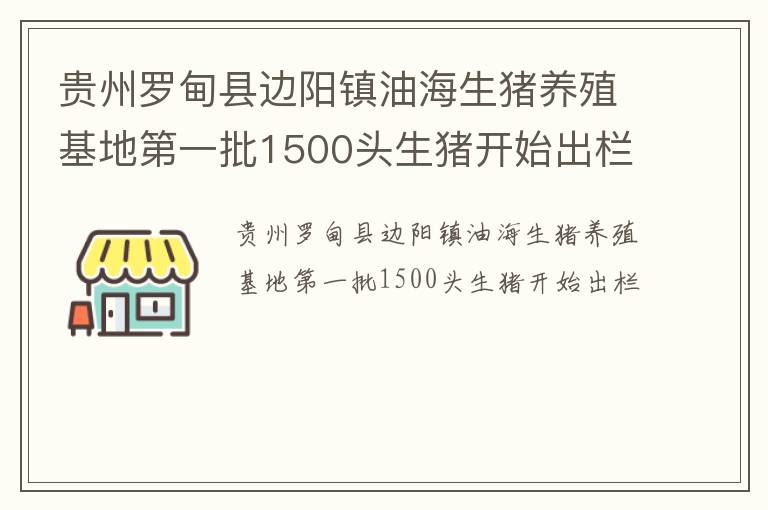 贵州罗甸县边阳镇油海生猪养殖基地第一批1500头生猪开始出栏