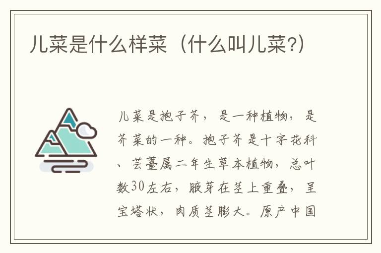 儿菜是什么样菜（什么叫儿菜?）