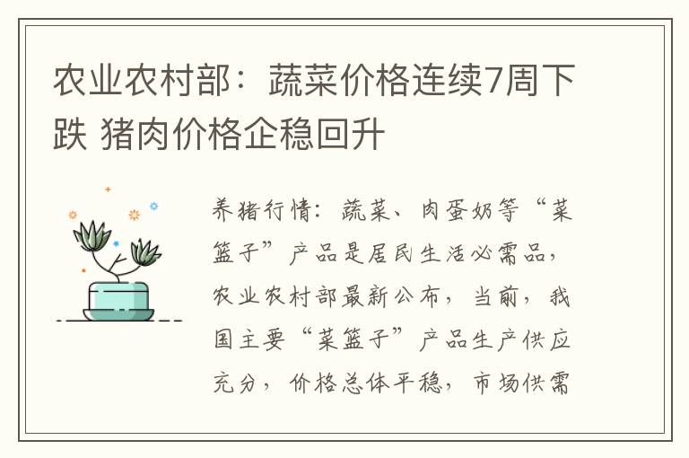 农业农村部：蔬菜价格连续7周下跌 猪肉价格企稳回升