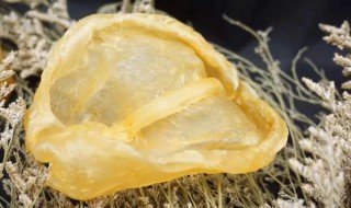 陈年鳖鱼胶泡发的正确方法 怎样做陈年鳖鱼胶泡发