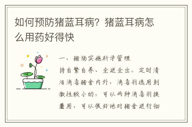 如何预防猪蓝耳病？猪蓝耳病怎么用药好得快