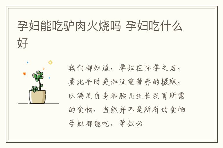 孕妇能吃驴肉火烧吗 孕妇吃什么好