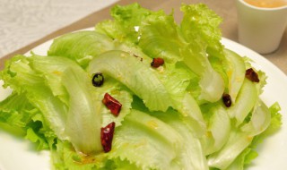 生菜怎么养（生菜怎么养活）