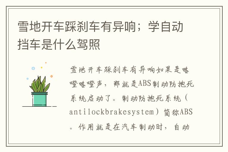 雪地开车踩刹车有异响；学自动挡车是什么驾照