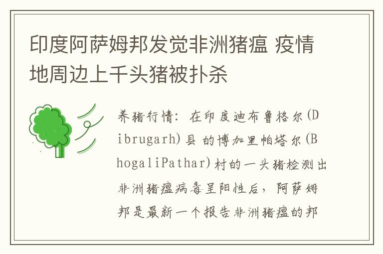 印度阿萨姆邦发觉非洲猪瘟 疫情地周边上千头猪被扑杀