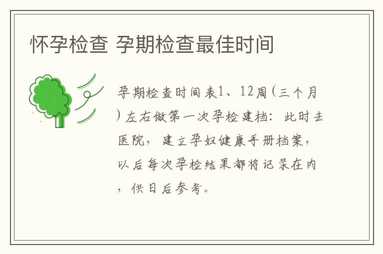 怀孕检查 孕期检查最佳时间