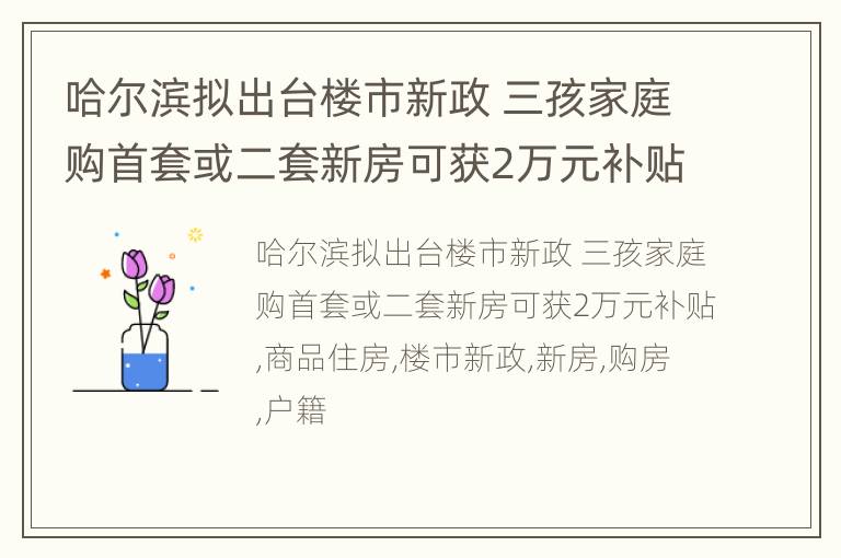 哈尔滨拟出台楼市新政 三孩家庭购首套或二套新房可获2万元补贴