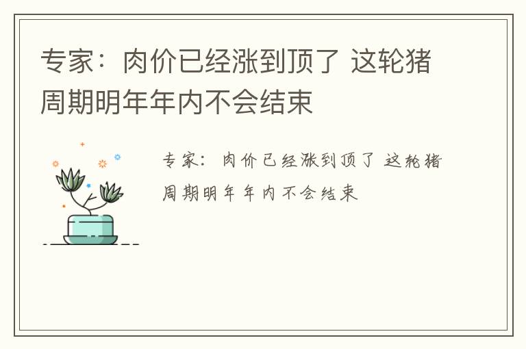 专家：肉价已经涨到顶了 这轮猪周期明年年内不会结束