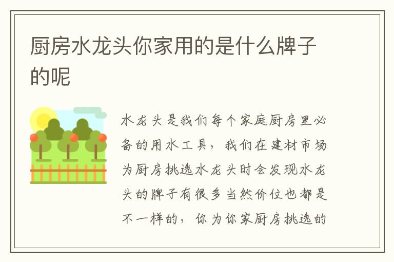 厨房水龙头你家用的是什么牌子的呢