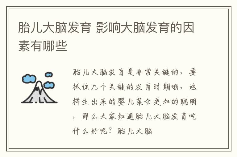 胎儿大脑发育 影响大脑发育的因素有哪些