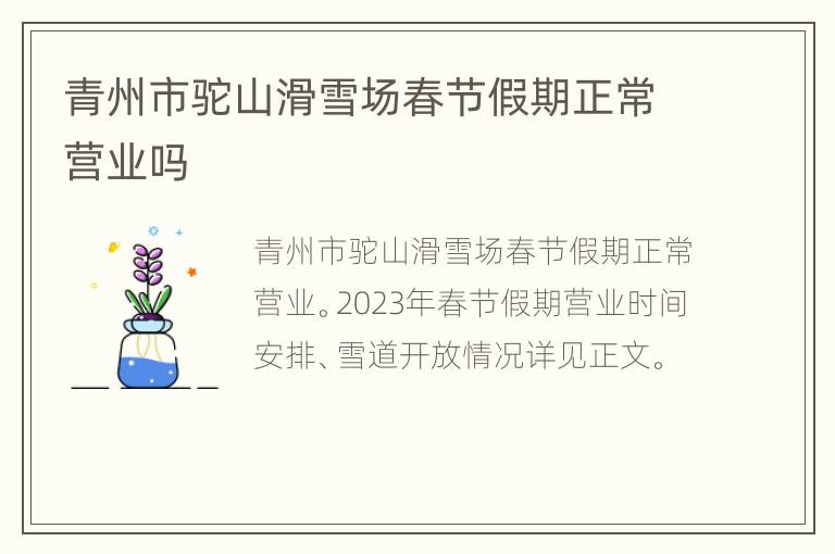 青州市驼山滑雪场春节假期正常营业吗