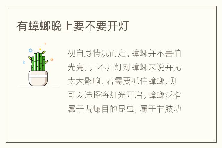 有蟑螂晚上要不要开灯