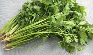 野香菜怎么做好吃 野香菜如何做好吃