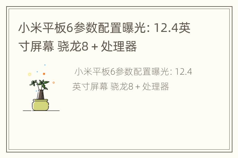 小米平板6参数配置曝光：12.4英寸屏幕 骁龙8＋处理器