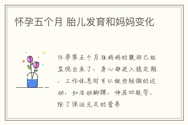 怀孕五个月 胎儿发育和妈妈变化