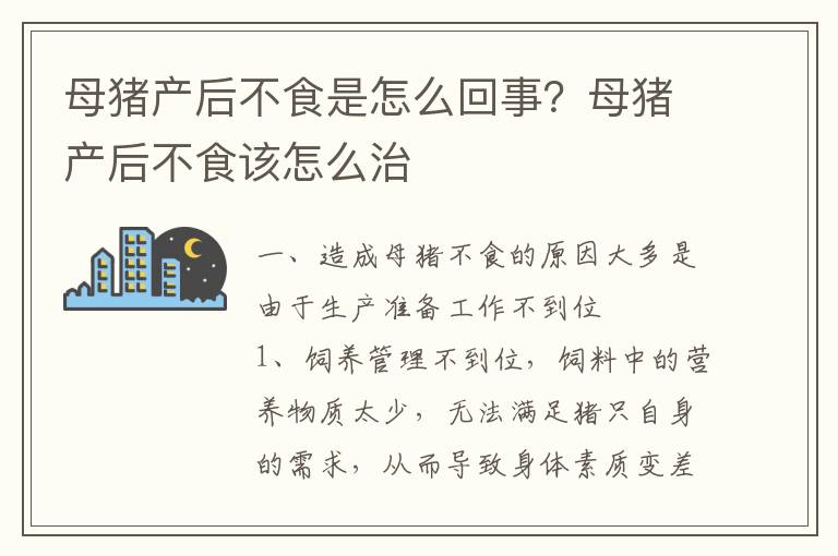 母猪产后不食是怎么回事？母猪产后不食该怎么治