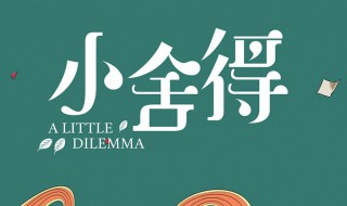 小舍得在哪里拍 小舍得电视剧简介
