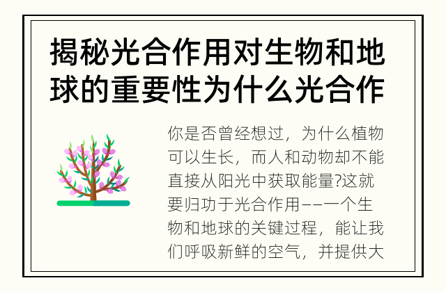 揭秘光合作用对生物和地球的重要性 为什么光合作用如此重要？