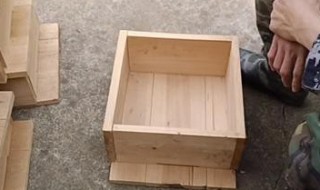 格子箱养蜂的正确方法 格子箱养中蜂操作技术介绍